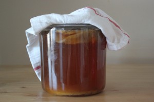 1 gallon kombucha tea brewing