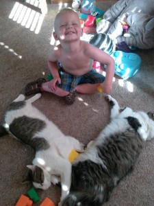 A friend noticed the heart shape on the ground - makes sense, Ezra loves our kitties.