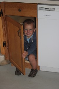Playing peekaboo - He was able to get his entire body in this cupboard.