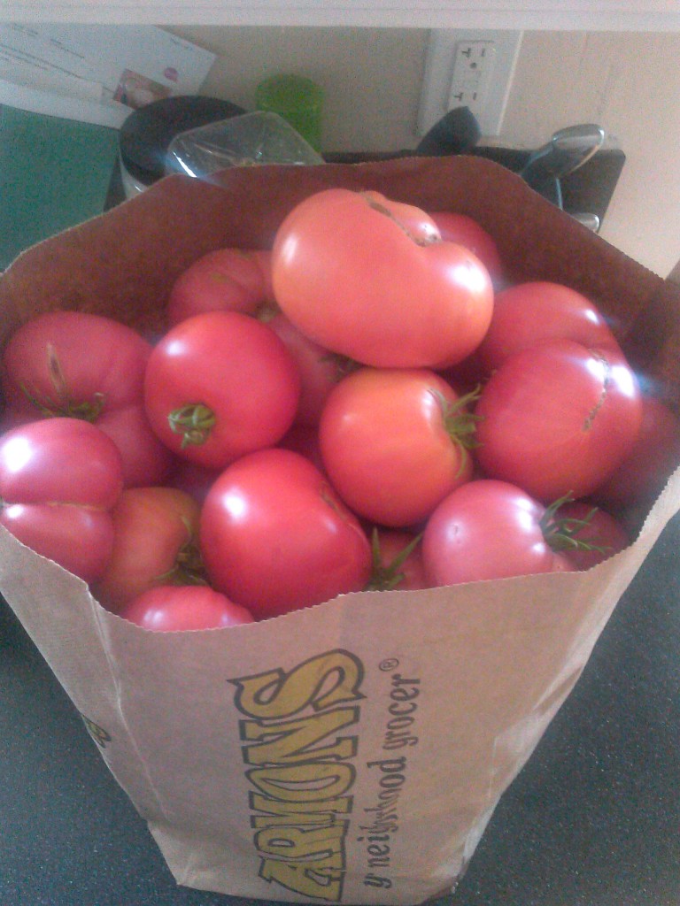 large tomatoes from the garden, second harvest