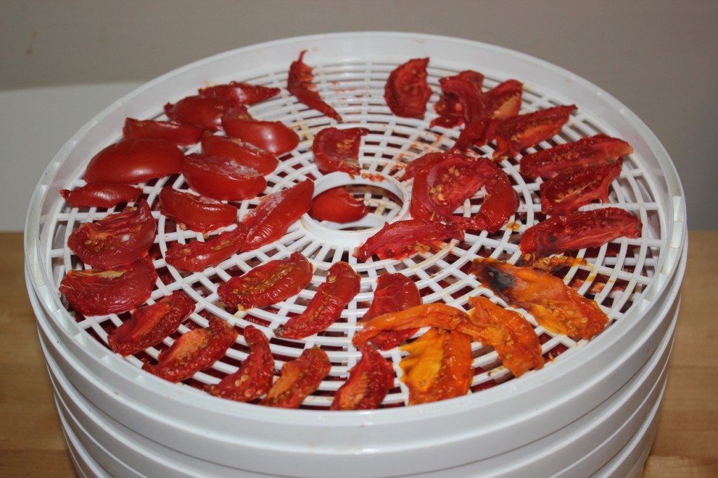 still-drying tomatoes