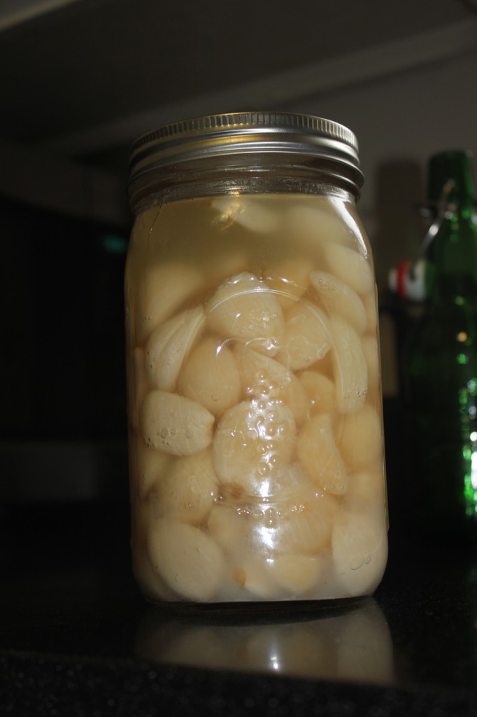 fermenting garlic